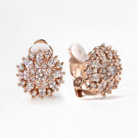 Ray Crystal Clip On Stud Earrings